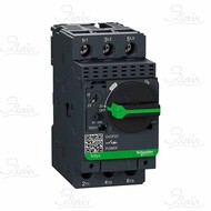    25 GV2P22 Schneider Electric